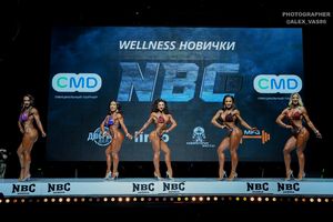 WELLNESS НОВИЧКИ